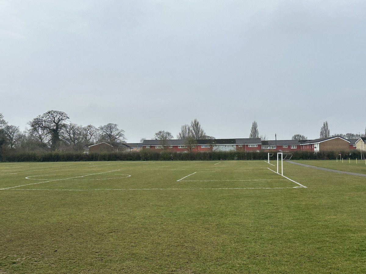 Weekly Round Up