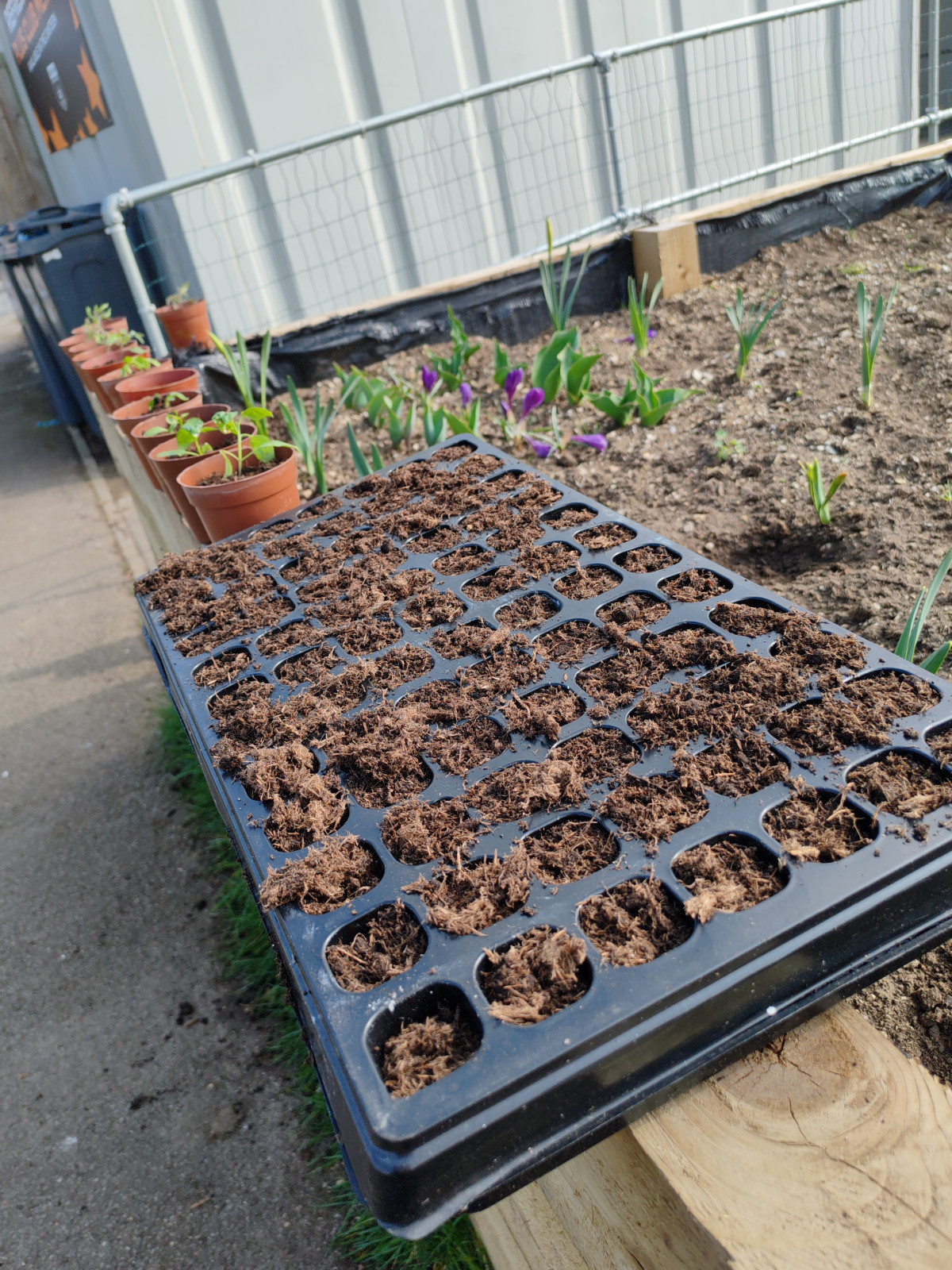 Community Garden planting begins